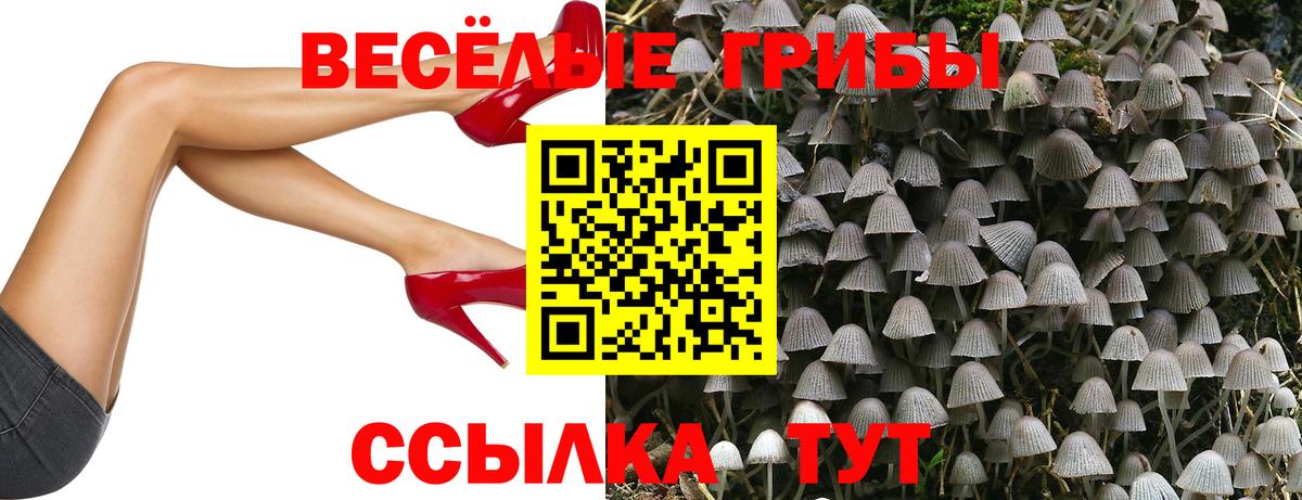 Галлюциногенные грибы прущие грибы  Псилоцибиновые грибы мухоморы  Вход с VPN  Сухой Лог 