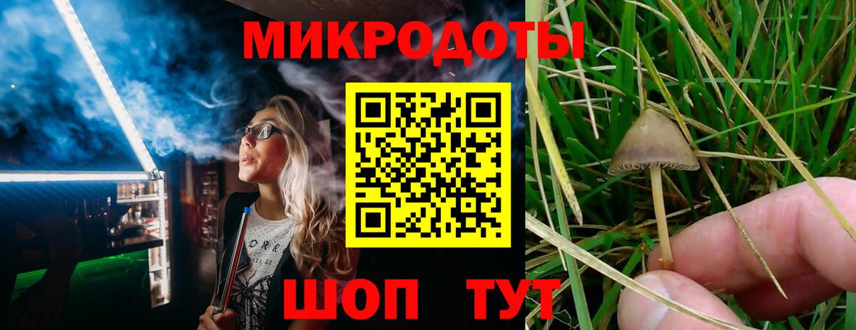Псилоцибиновые грибы GOLDEN TEACHER Сухой Лог